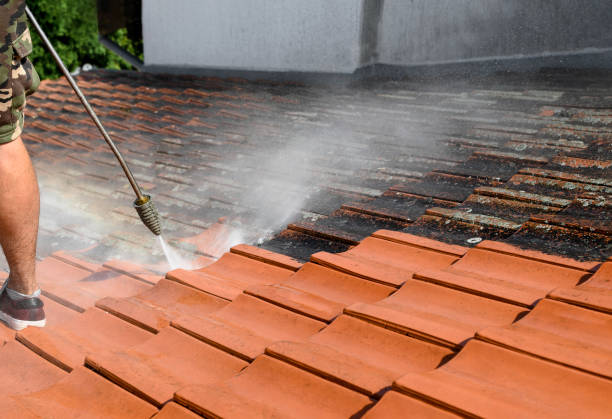 Best Sidewalk Pressure Washing  in Home Garden, CA