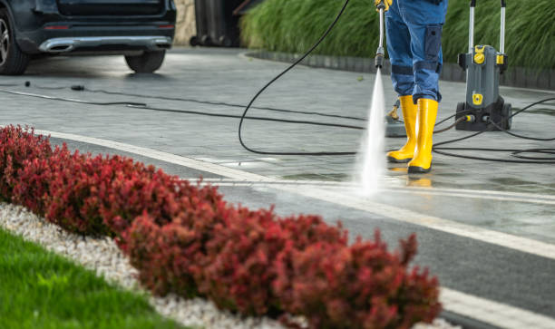 Best Exterior Home Cleaning  in Home Garden, CA